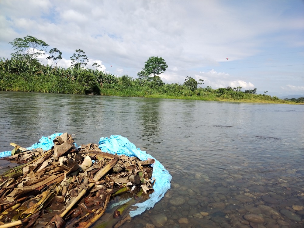 Bolsa en río