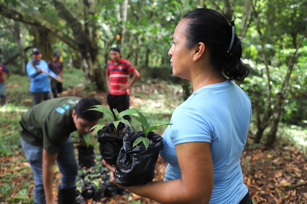 Jornada ambiental Stibrawpa